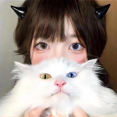 新·信长公记～同学是战国武将～